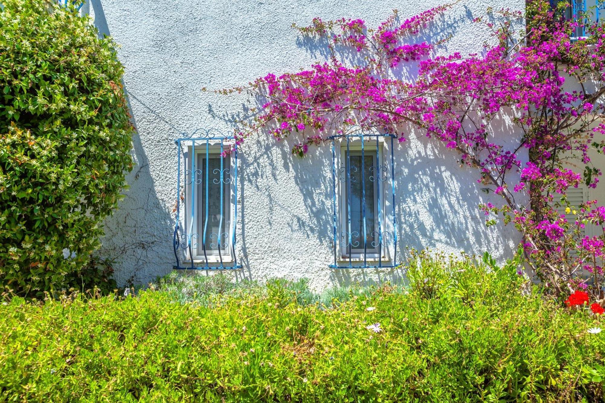 Xenios Faros Apartments Possidi Exterior photo